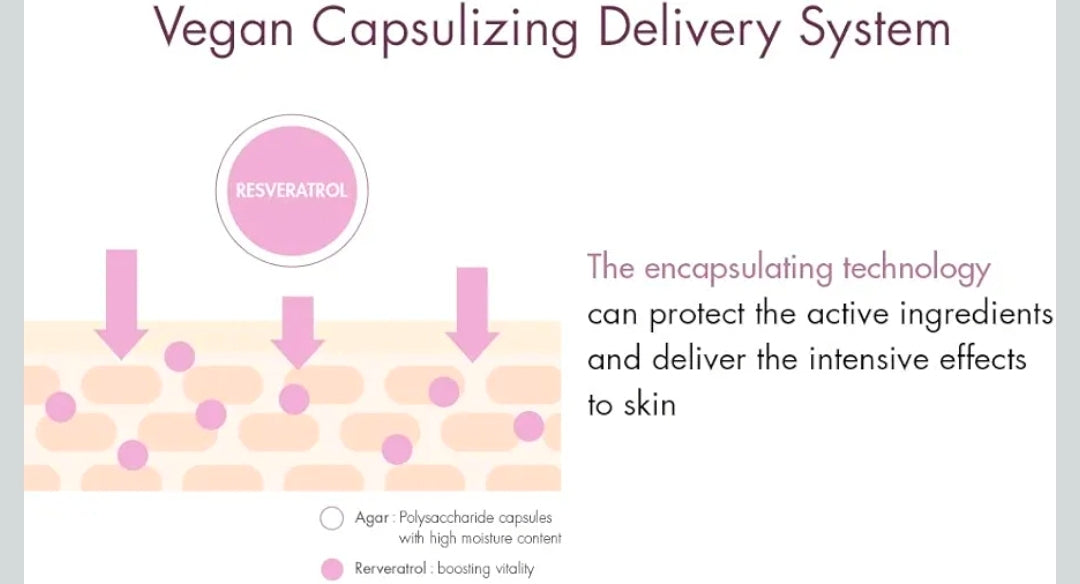 Dr. Ceuracle Vegan Active Berry Lifting Cream - Antioxidant Moisturizer with Resveratrol Capsules and Vitamin A, Hydration and Rejuvenation
