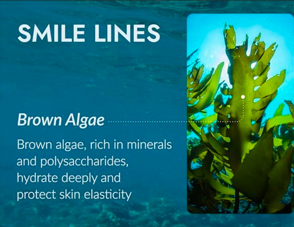 Suero de colágeno Mizon Phyto Plump: colágeno vegano, 88 % de ingredientes naturales con adenosina, hidratación profunda, cuidado de la piel coreano.