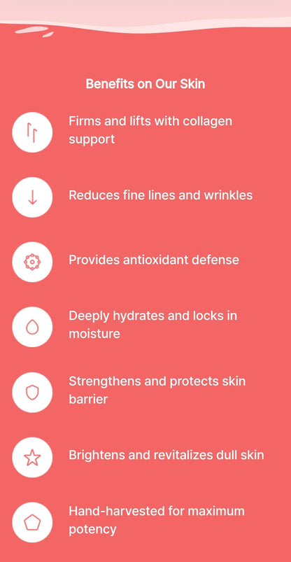 Round Lab Camellia Deep Collagen Firming Gel Mask - Advanced collagen mask infused with CAMELLIA COLLAGENOL for instant revival of dull, aging skin - 1 Mask